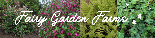 Fairy Garden Farms